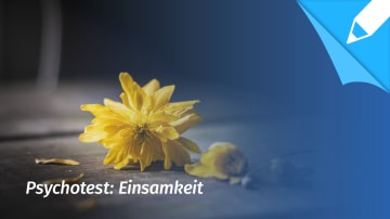 Psychotest Einsamkeit: Leide ich unter Einsamkeit?