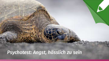 Psychotest Angst hässlich zu sein (Dysmorphophobie)