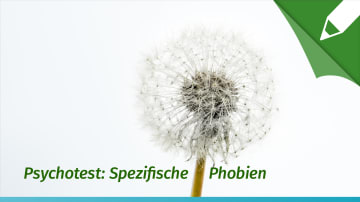 Psychotest Spezifische Phobien