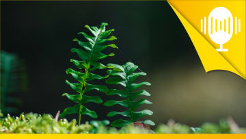 Die drei Schlüssel für ein gelungenes Miteinander – Podcast #129