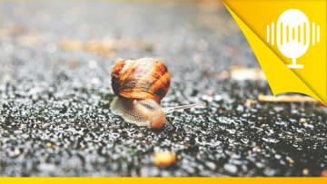 Mache dich selbst zum Pacemaker in deinem Leben – Podcast #142