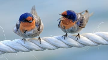 Destruktive Kritik – 12 Strategien um sie zu entkräften