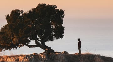 Innere Stabilität finden, Resilienz aufbauen