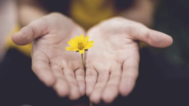 Dem Partner verzeihen, dass er fremdgegangen ist?