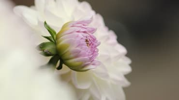 Beitragsempfehlungen zum Thema Selbstachtung