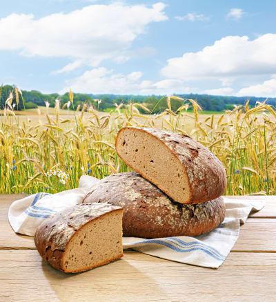 Brot von der Hofpfisterie vor Feld