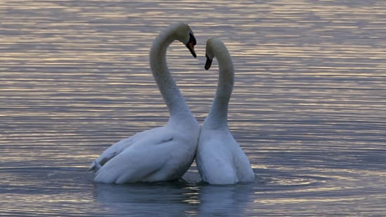 Was ist Liebe und wie kannst du sie am Leben halten?