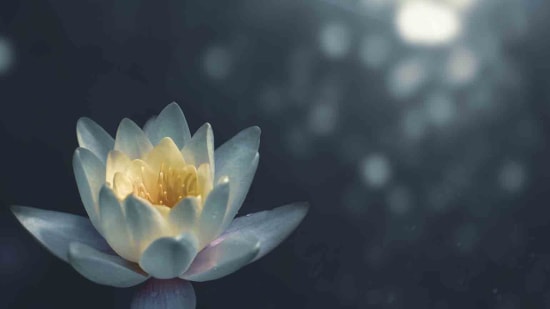 Innerer Frieden – was ist das und wie erlangt man ihn?