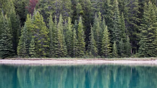 Weisheitsgeschichte: So bekommst du ein positives Echo von anderen