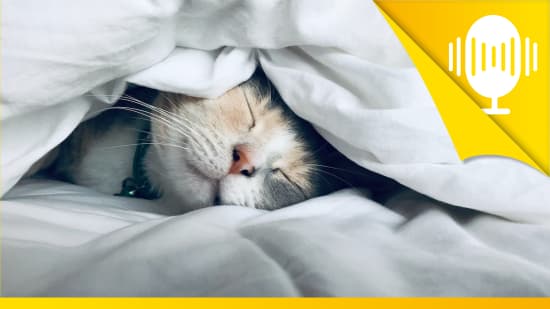 Bereite dich aufs Schlafen vor – Podcast #91