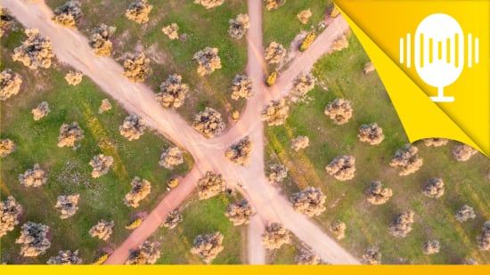 Auf dich und deinen Weg! – Podcast #62