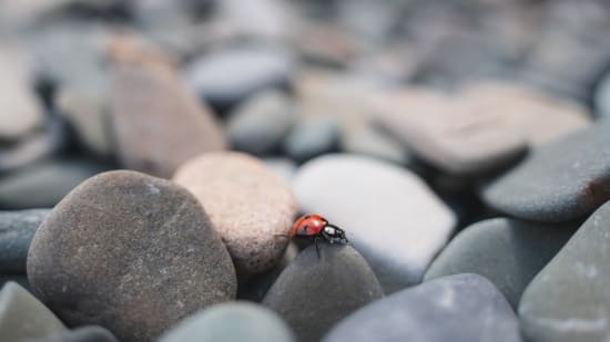 Minderwertigkeitsgefühle und Selbstzweifel: 6 Tipps, wie du sie überwinden kannst