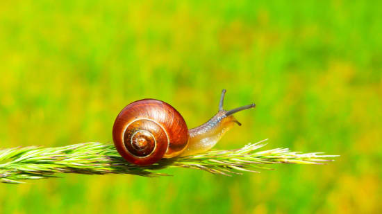 Ungeduld: So kannst du geduldiger werden