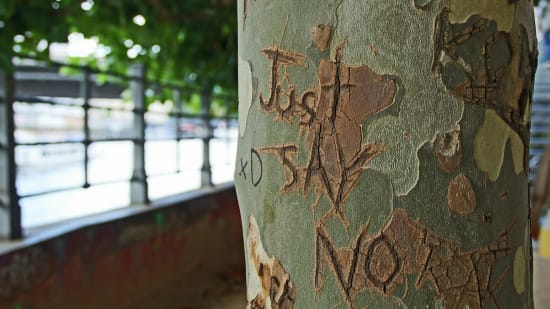 Nein zu sagen kannst du lernen