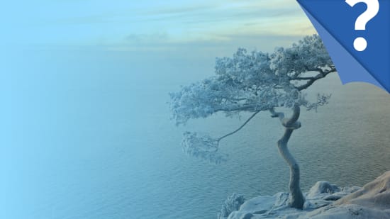 Resilienz – Schicksalsschläge und Krisen unbeschadet überstehen