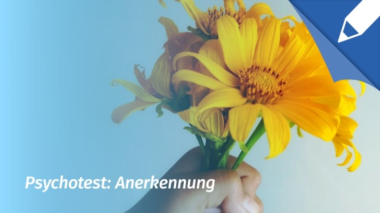 Psychotest Anerkennung: Wie wichtig ist mir Anerkennung?