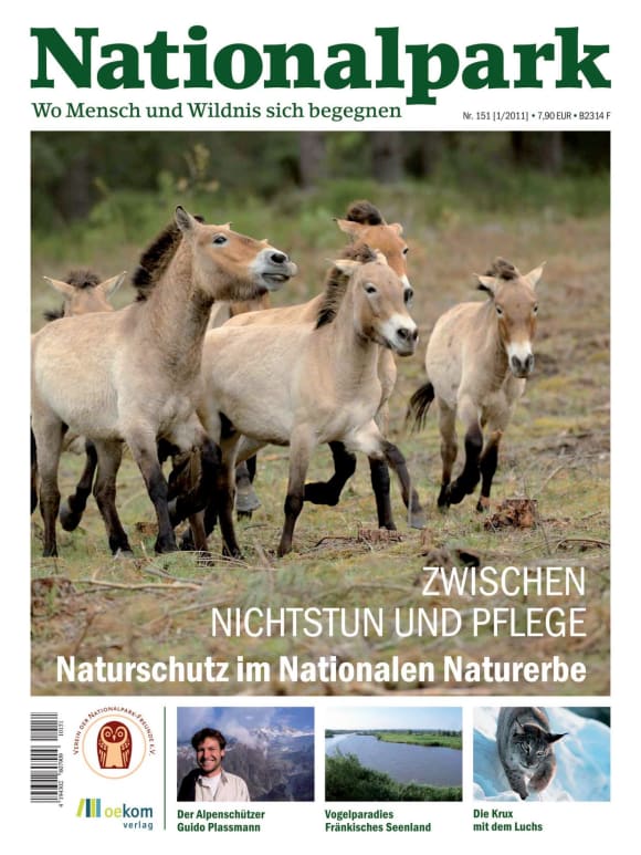 Cover: Zwischen Nichtstun und Pflege