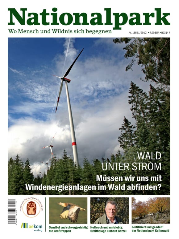 Cover: Wald unter Strom