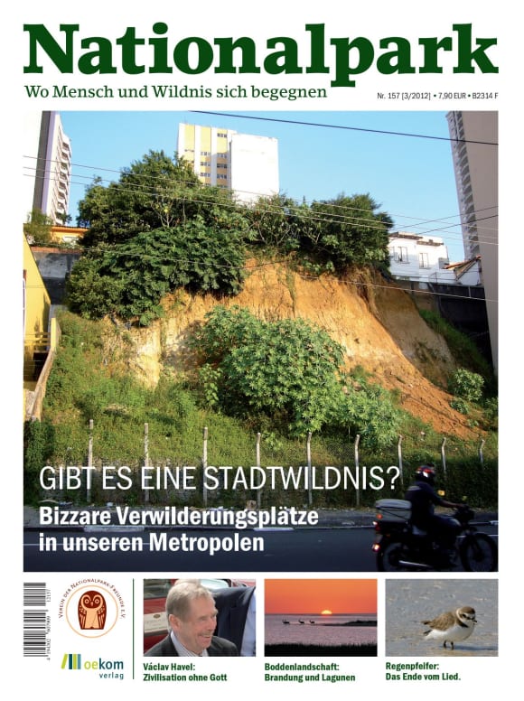 Cover: Gibt es eine neue Stadtwildnis? 