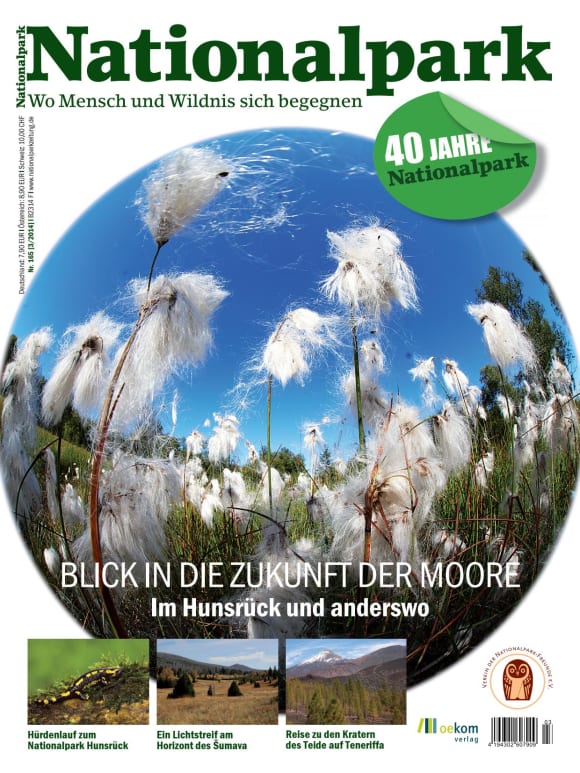 Cover: Blick in die Zukunft der Moore