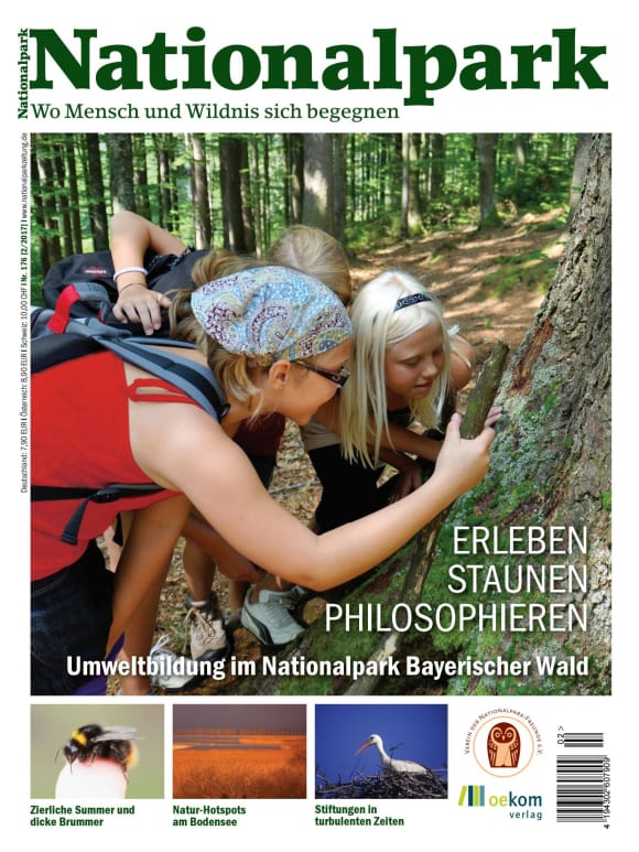 Cover: Bildungsarbeit im NP