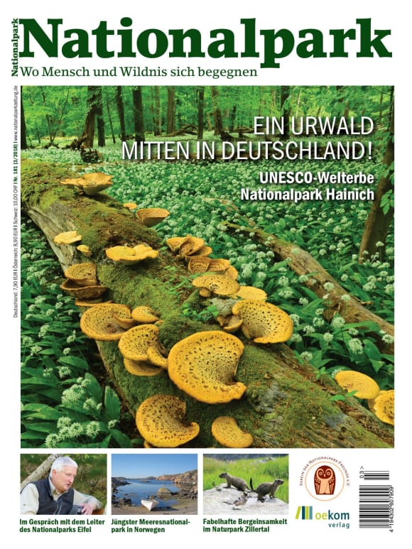 Cover: Ein Urwald mitten in Deutschland