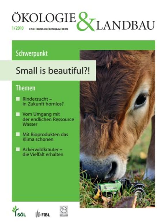 Cover: Small is beautiful?!