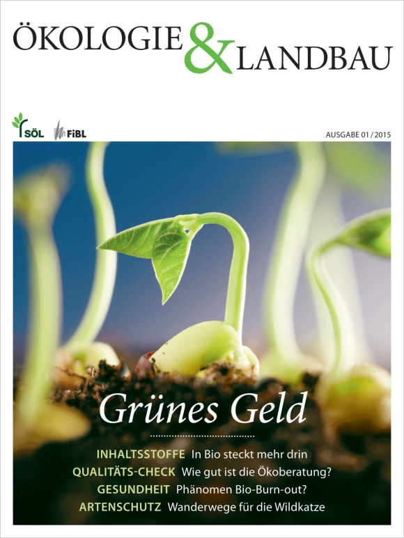 Cover: Grünes Geld