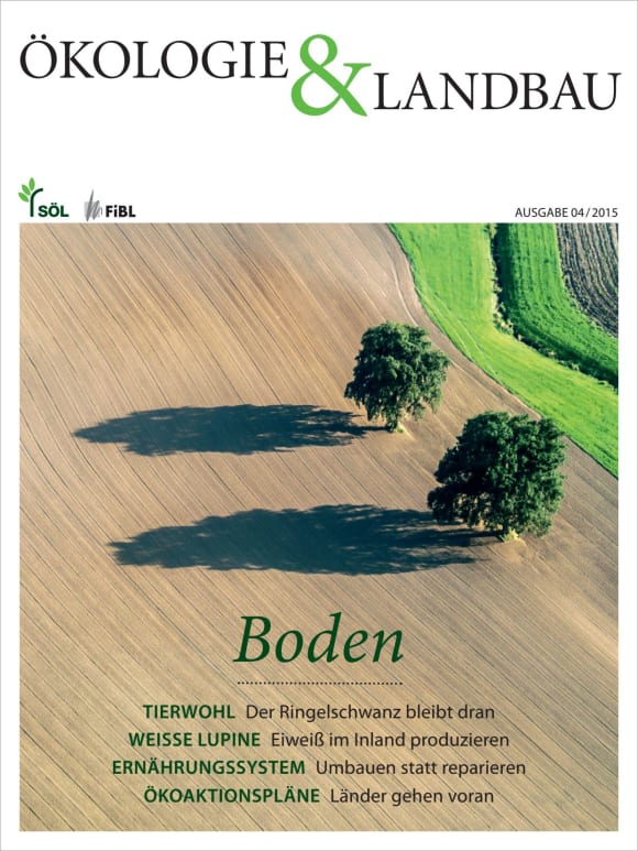 Cover: Boden