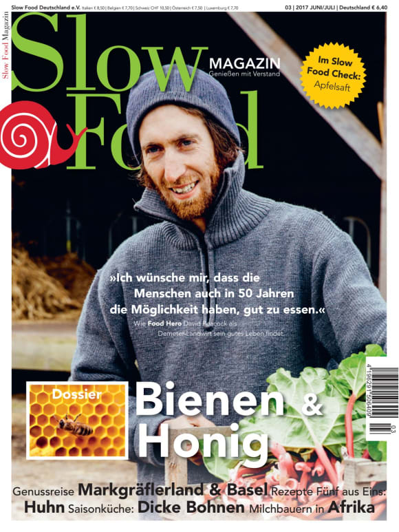 Cover: Dossier: Honig & Bienen