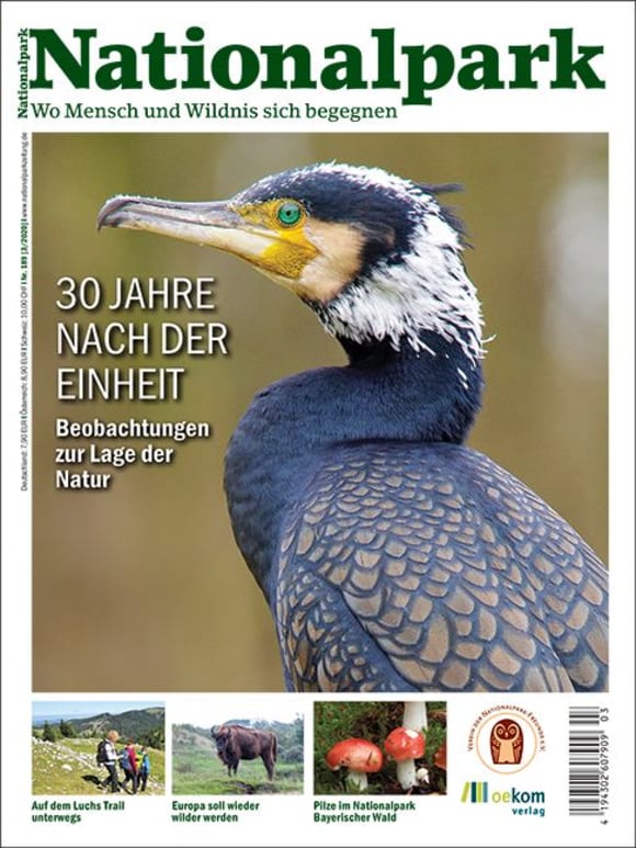 Cover: 30 Jahre nach der Einheit