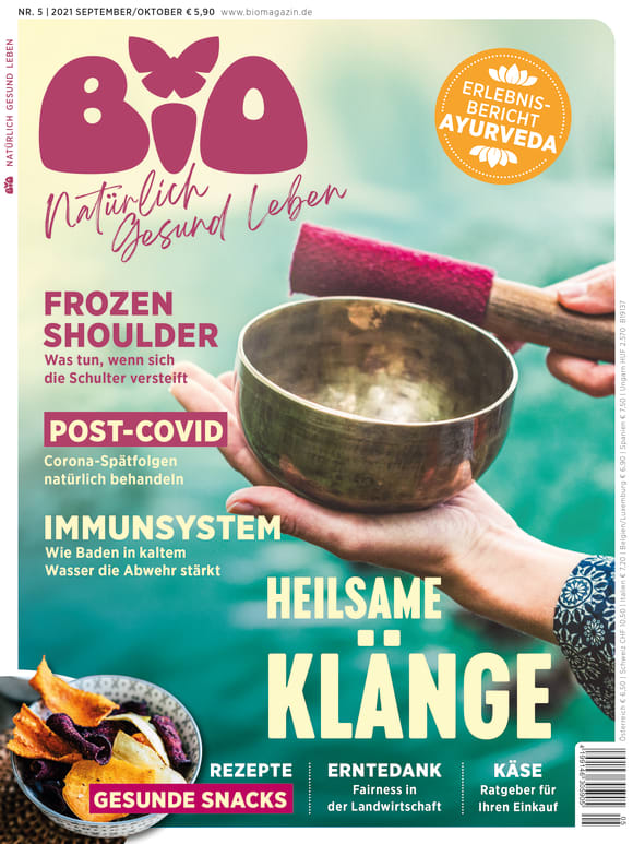 Cover: Heilsame Klänge