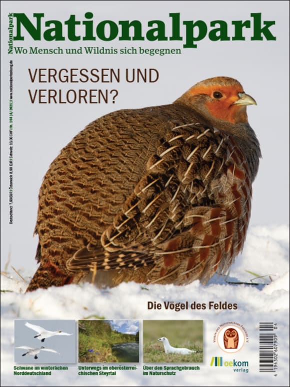 Cover: Vergessen und verloren?