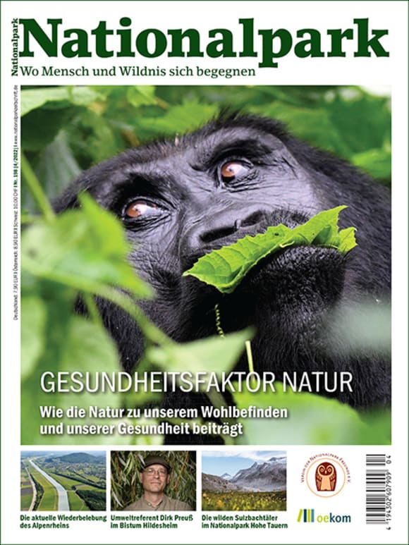 Cover: Gesundheitsfaktor Natur