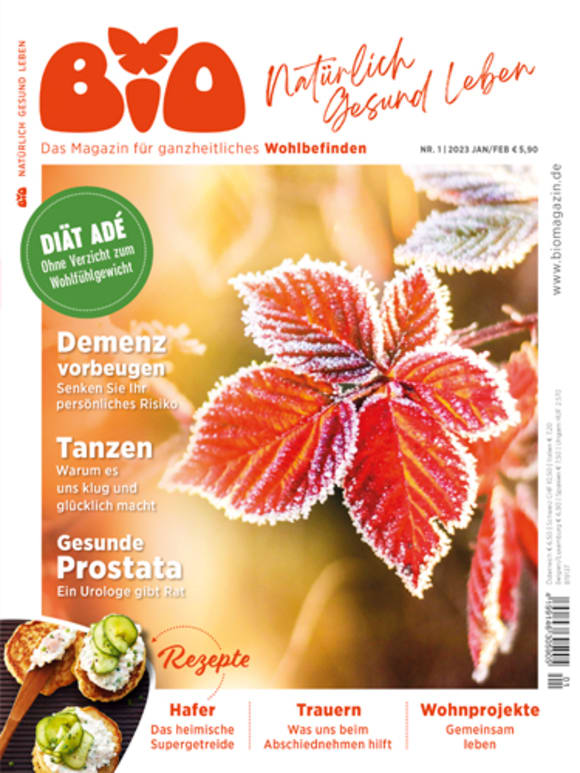 Cover: Diät Adé