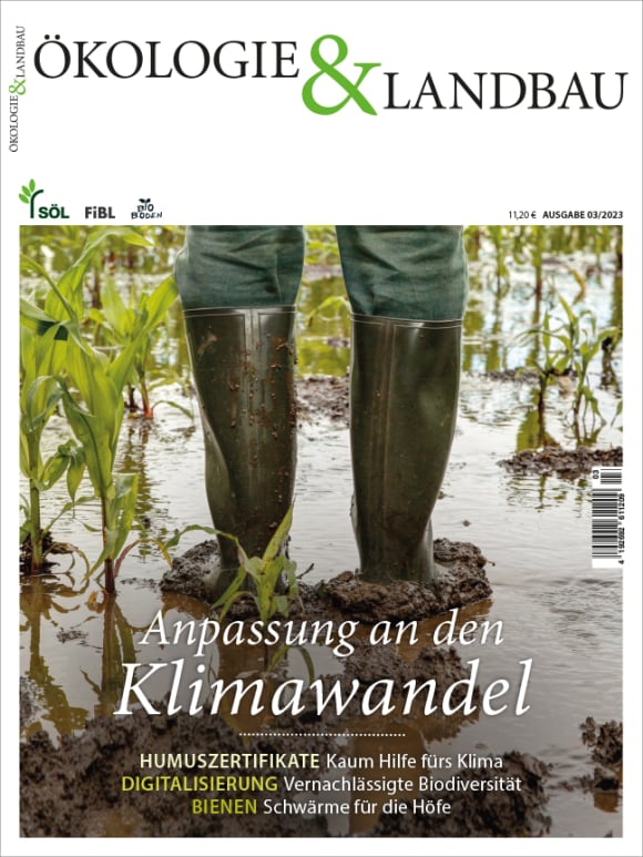 Cover: Anpassung an den
Klimawandel