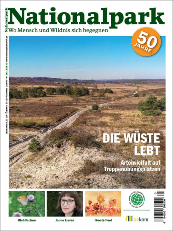 Cover: Die Wüste lebt