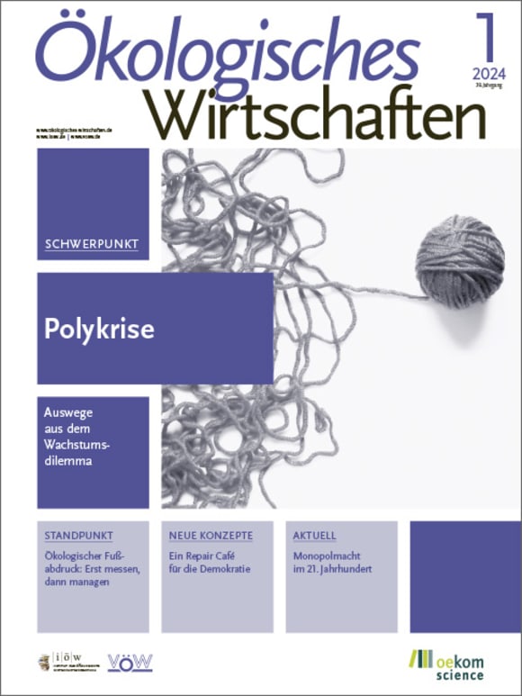 Cover: Polykrise