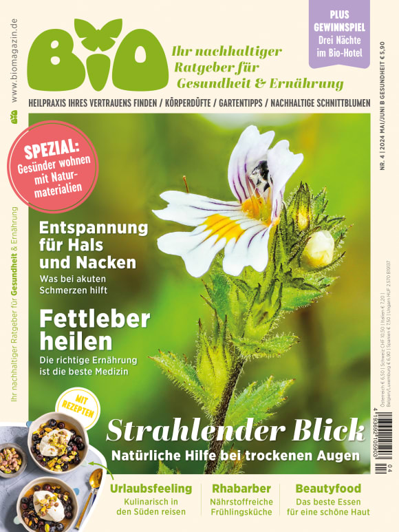 Cover: Gesundheit