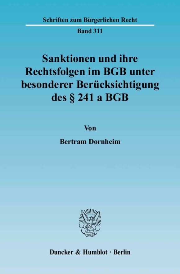 Cover Sanktionen und ihre Rechtsfolgen im BGB unter besonderer Berücksichtigung des § 241 a BGB