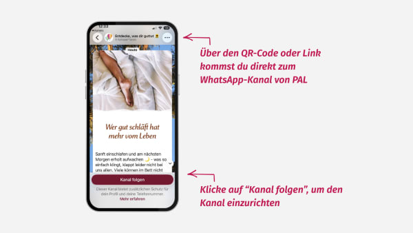 Wie kannst du den WhatsApp-Kanal auf deinem Handy einrichten?