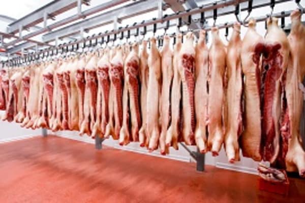 EuGH: Rituelle Schlachtungen nur in zugelassenen Schlachthöfen