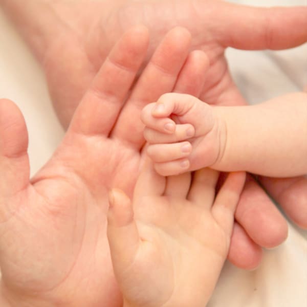 BfR bewertet Cadmium- und Bleihöchstgehalte für Babynahrung