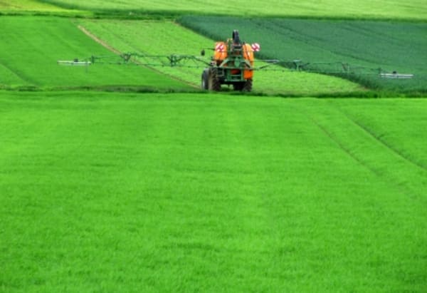 Noch kein Glyphosat-Verbot in Frankreich