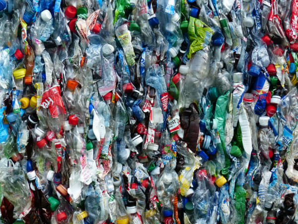 Plastikmüll in Handel und Gastronomie: Handlungsbedarf gegeben