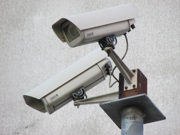 Daten zur Lebensmittelüberwachung
