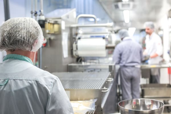 Kochen für Viele: Hygieneregeln machen Speisen aus Großküchen sicherer