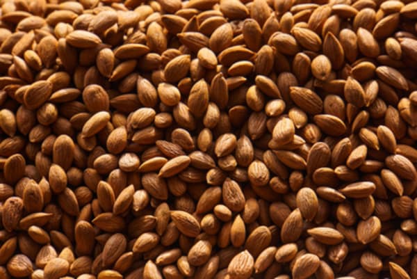 Gesundheitsrisiko durch Cyanoglycoside in Lebensmitteln