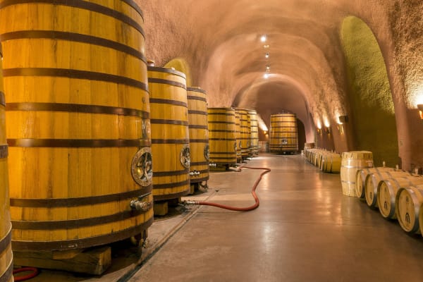 Millionen Liter Wein gesperrt