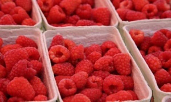 Rückstandssituation und mikrobiologische Belastung von Beerenobst